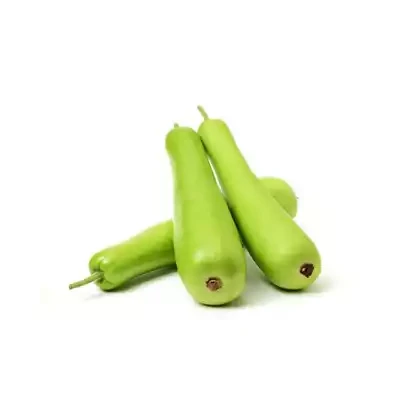 লাউ (Bottle Gourd)