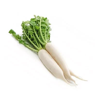 মুলা (Radish)